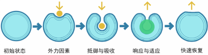 mg冰球突破(中国)官方网站